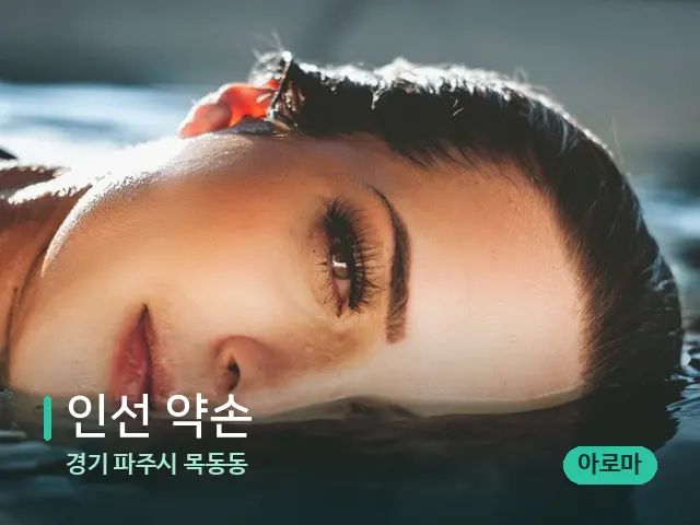 경기 파주시 목동동 인선 약손 — 웰니스 스파 공간