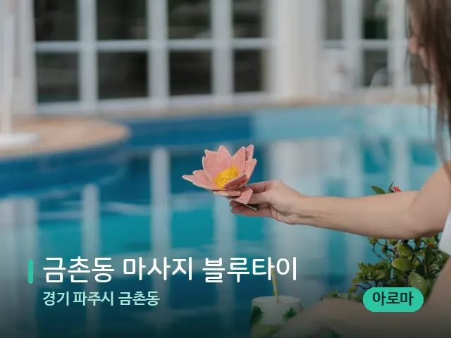 경기 파주시 금촌동 금촌동 마사지 블루타이 — 웰니스 스파 공간