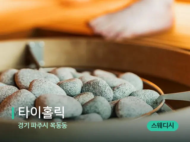 경기 파주시 목동동 타이홀릭 — 웰니스 스파 공간