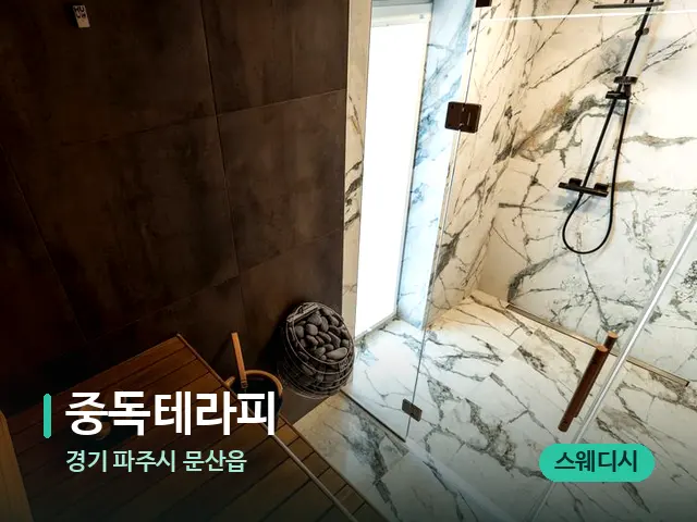 경기 파주시 문산읍 중독테라피 — 웰니스 스파 공간